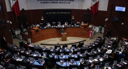 Juez da tres días al Senado para que designe a los nuevos comisionados del INAI