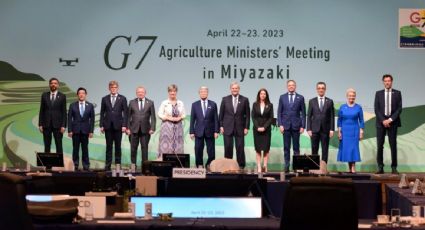 El G7 señala uso de Rusia de sus exportaciones alimentarias como herramienta de coerción geopolítica