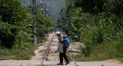 Los olvidados de AMLO: el fracaso del gobierno en la reducción de la pobreza