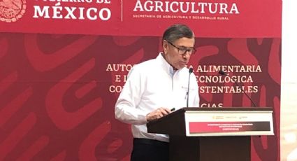 Sader acusa que el modelo de la agricultura industrial de EU causó una crisis en la producción de maíz