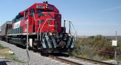 Las acciones de Grupo México caen tras la toma de las vías de Ferrosur por marinos