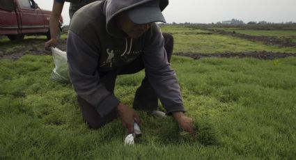 Ineptitud de Morena acabó con Financiera Rural, dice un exdirector del organismo