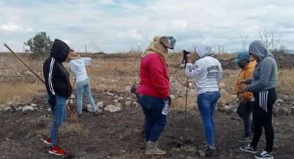 Colectivo encuentra restos humanos en una fosa clandestina en Guanajuato