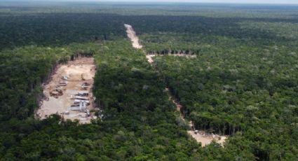 Gobierno de AMLO expropia más de mil 500 hectáreas para la construcción del aeropuerto de Tulum