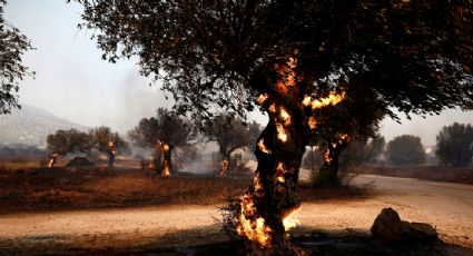 Alertas por calor extremo, inundaciones e incendios continúan afectando a China, Europa, Canadá y EU