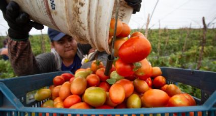 La actividad económica de México crece 4.3% interanual en mayo