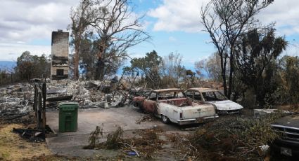 Incendios en Hawaii pudieron ocasionarse debido a que el suministro eléctrico se mantuvo pese a que fuertes vientos tiraron el cableado