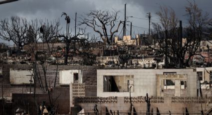 Incendios forestales en Hawaii dejan hasta el momento 106 muertos