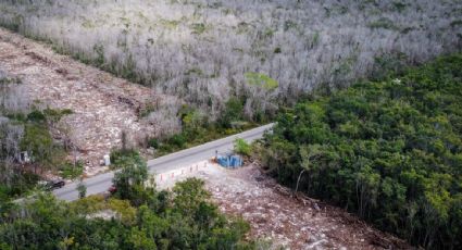 Piden a aspirantes presidenciales recorrer las zonas afectadas por la construcción del Tren Maya