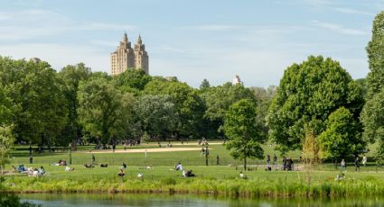 Alcalde de Nueva York plantea convertir oficinas vacías en residencias habitables