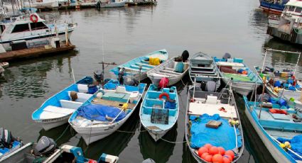 "Hilary" se degrada a tormenta tropical luego de tocar tierra en Baja California Sur; continuarán lluvias en gran parte del país