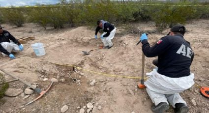 Hallan once cuerpos en una fosa clandestina en Chihuahua; podrían ser de migrantes desaparecidos