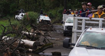 Aumenta la tala en los bosques de la Ciudad de México pese a intentos por reforestarlos