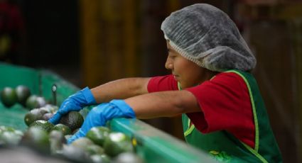 México perdió más de 2 mil empleos formales al cierre de julio y termina su tendencia al alza