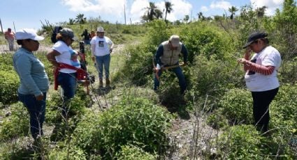 El hallazgo de decenas de fosas clandestinas en Sonora evidencia la impunidad e indolencia del gobierno: Causa en Común