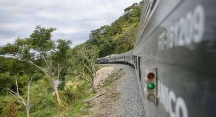 Grupo México y Canadian Pacific Kansas City están interesadas en operar algunas de las rutas de trenes de pasajeros decretadas por AMLO: SICT