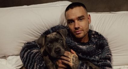 Fallece Liam Payne, exintegrante de One Direction, tras caer de un edificio en Argentina