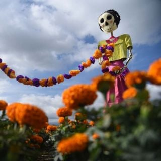 CDMX prepara el Día de Muertos: prevén 7 millones de personas e ingresos por 100 mdd