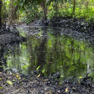 Oleoducto provoca derrame en comunidad totonaca de Papantla; acusan omisión de Pemex para frenarlo