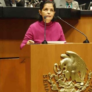 Senadora del PVEM propone declarar los ciberataques como amenaza a la seguridad nacional