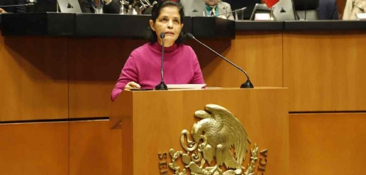 Senadora del PVEM propone declarar los ciberataques como amenaza a la seguridad nacional