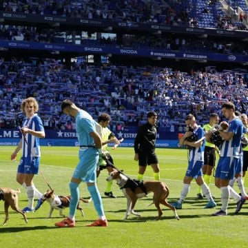 El Espanyol sale a la cancha con 11 perros abandonados para promover su adopción