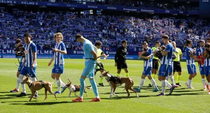 ¡Ejemplar! Los jugadores del Espanyol salen a la cancha con 11 perros abandonados para promover su adopción