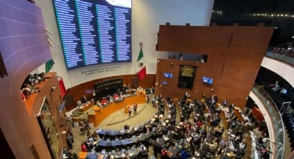 Artículo 19 acusa la expulsión del Senado de colectivos que protestaban por la designación de nueva titular de la CNDH