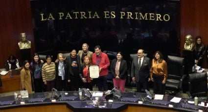 “Premiaron indebidamente la inacción”: organizaciones y la oposición rechazan la reelección de Rosario Piedra en la CNDH