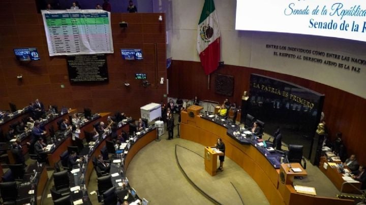 Morena y aliados arrasan a Sheinbaum: reeligen a Rosario Piedra al frente de la CNDH y desdeñan a su candidata