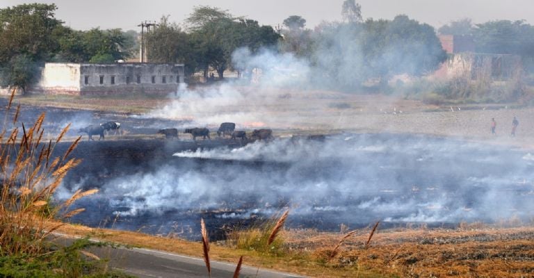 nueva delhi contaminacion india