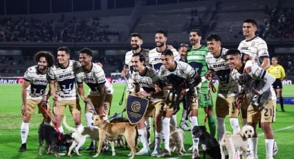 ¡Yo soy tu amigo fiel! Los Pumas saltan a la cancha con perros para promover su adopción