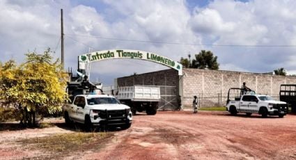 Destruyen huertas de limón en Apatzingán como represalia a productores que se niegan a pagar extorsiones: sacerdote Gregorio López