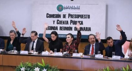 Morena y aliados aprueban en comisión el dictamen del presupuesto 2025; "es continuista y tóxico”: PAN