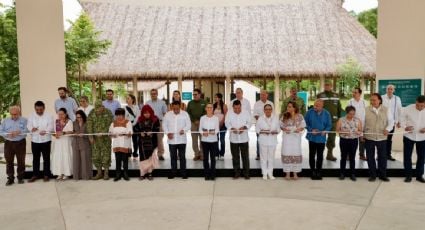 Sheinbaum adelanta inauguración de los últimos tramos del Tren Maya; aborda en Palenque