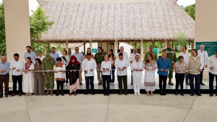 Sheinbaum adelanta inauguración de los últimos tramos del Tren Maya; aborda en Palenque