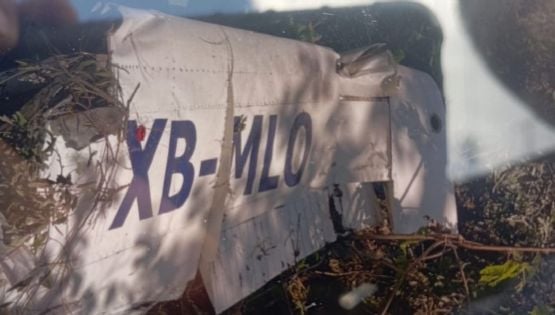 Desplome de aeronave en Jalisco: hay un sobrino del líder del Cártel de Tepalcatepec entre las víctimas