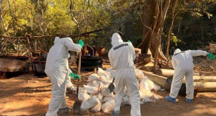 Marina desmantela laboratorio de Los Mayos en Sinaloa y decomisa una tonelada de drogas