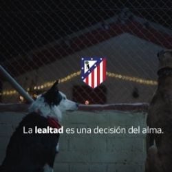 El Atlético de Madrid se ‘vuela la barda’ con su video navideño en el que un perro demuestra el valor de la lealtad