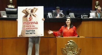 Senado aprueba Ley Federal de Derechos para el 2025; oposición advierte “guardaditos” de Morena