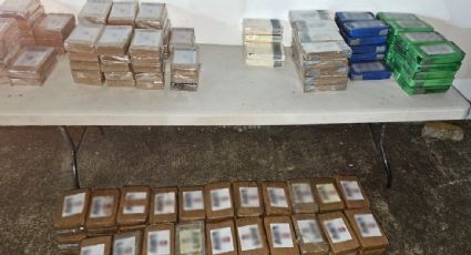 Dos sujetos detenidos en Chiapas y Sinaloa son procesados por transportar casi 500 kilos de cocaína y metanfetamina