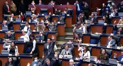 Senado aprueba acuerdo para permitir a jueces que declinaron participar en la elección de 2025 presentarse a la de 2027