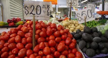 Investigadores de la Ibero detectan cadmio en 2 de cada 3 productos agrícolas que se consumen en CDMX; piden monitoreo de suelos