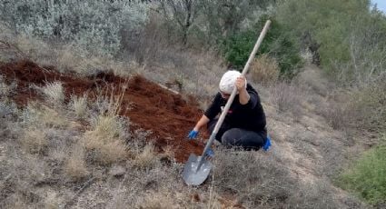 Hallan restos humanos calcinados en al menos cuatro puntos de un parque eólico en Reynosa