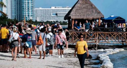 INAI ordena a la Semarnat transparentar los datos de la cesión de una concesión de una playa en Quintana Roo