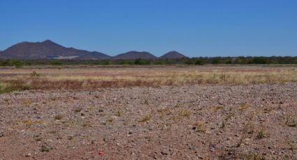 Organización denuncia la presunta masacre de más de 50 migrantes en el desierto de Sonora