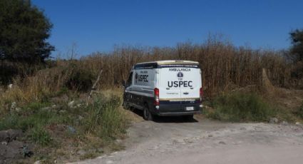 Hallan al menos 11 cuerpos en fosas clandestinas en el municipio michoacano de Tarímbaro