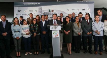 Senadores de Morena acusan campaña de difamación contra AMLO tras reportaje del NYT sobre nexos de sus cercanos con el narcotráfico