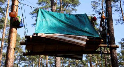 Activistas acampan en un bosque en Alemania para impedir la ampliación de una fábrica de Tesla