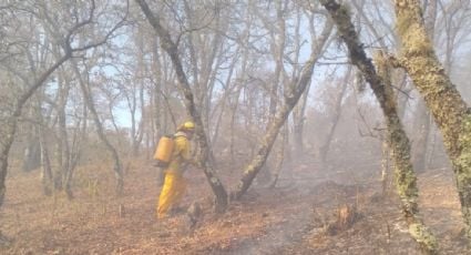 Desalojan a cinco familias de la comunidad de El Doctor por el incendio forestal en Cadereyta